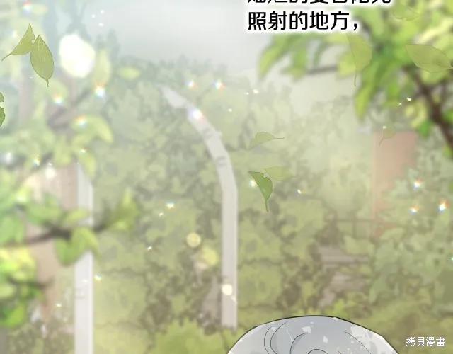 《明明是冷美人小姐却变成了忠犬大少爷》第23话 第182页