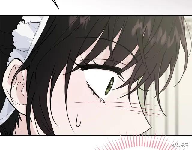 《明明是冷美人小姐却变成了忠犬大少爷》第23话 第8页