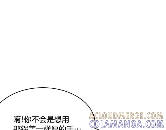 《明明是冷美人小姐却变成了忠犬大少爷》第25话 第17页