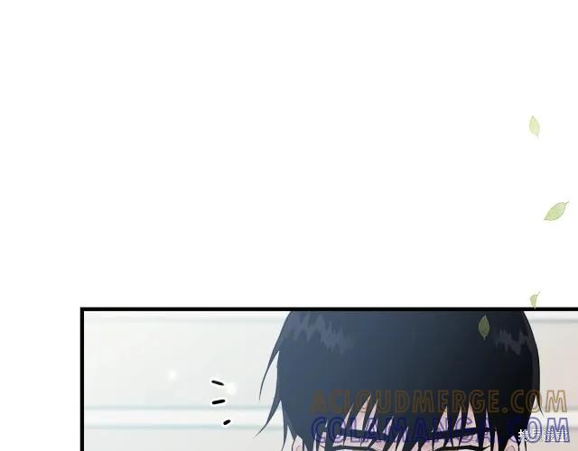 《明明是冷美人小姐却变成了忠犬大少爷》第26话 第17页
