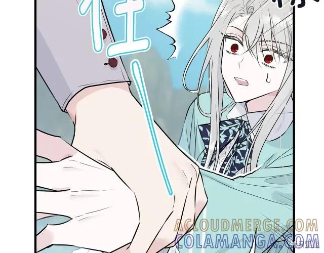 《明明是冷美人小姐却变成了忠犬大少爷》第26话 第45页