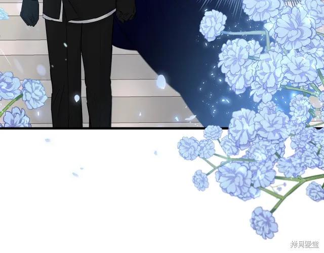 《明明是冷美人小姐却变成了忠犬大少爷》第26话 第10页