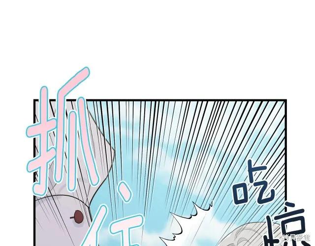 《明明是冷美人小姐却变成了忠犬大少爷》第26话 第44页