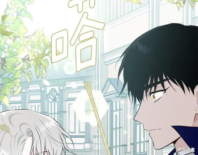 《明明是冷美人小姐却变成了忠犬大少爷》第26话 第20页