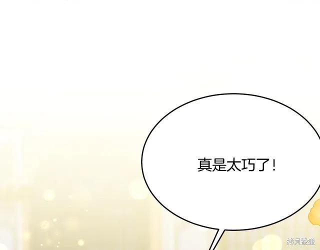 《明明是冷美人小姐却变成了忠犬大少爷》第26话 第147页