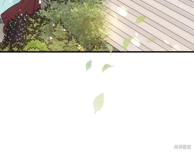 《明明是冷美人小姐却变成了忠犬大少爷》第26话 第23页