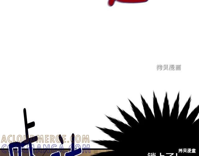 《明明是冷美人小姐却变成了忠犬大少爷》第27话 第197页