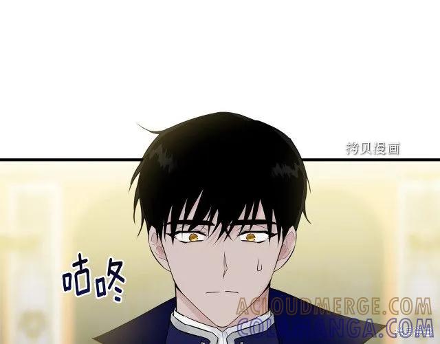 《明明是冷美人小姐却变成了忠犬大少爷》第28话 第33页