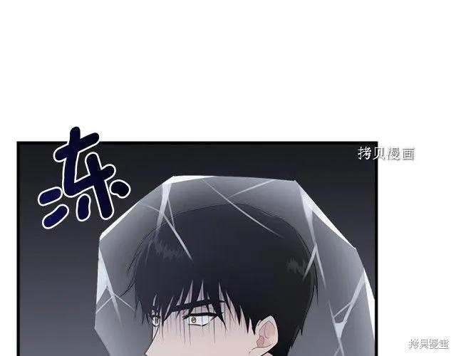 《明明是冷美人小姐却变成了忠犬大少爷》第28话 第106页