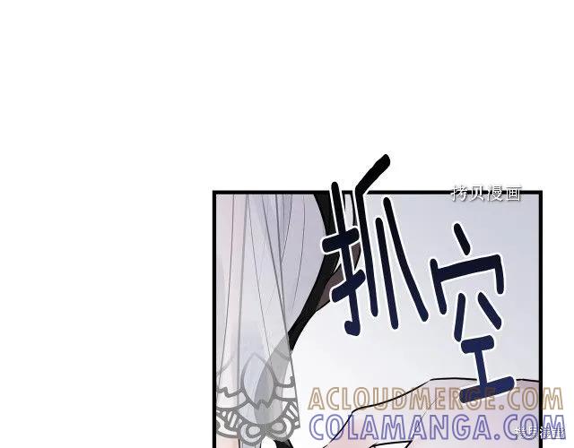 《明明是冷美人小姐却变成了忠犬大少爷》第28话 第137页