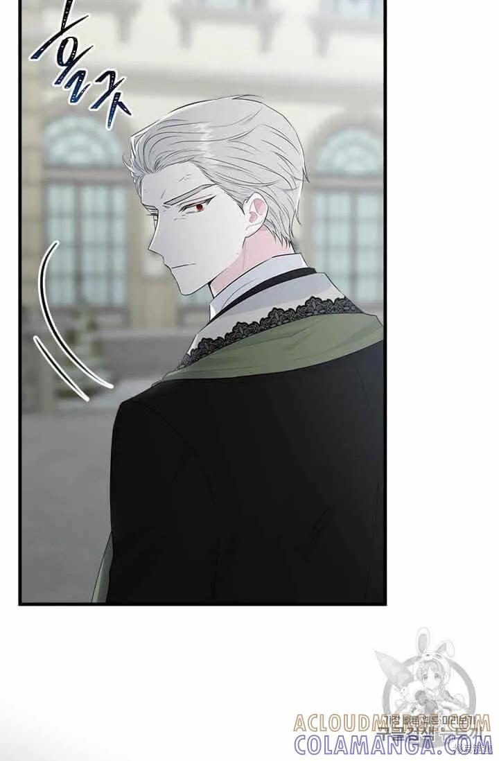 《明明是冷美人小姐却变成了忠犬大少爷》第36话 第19页