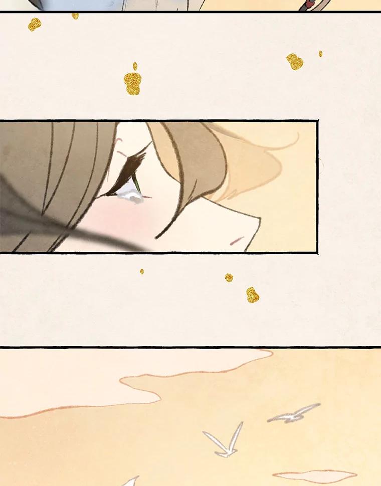《在流星坠落之处等待》77.银色猫头鹰（1） 第80页