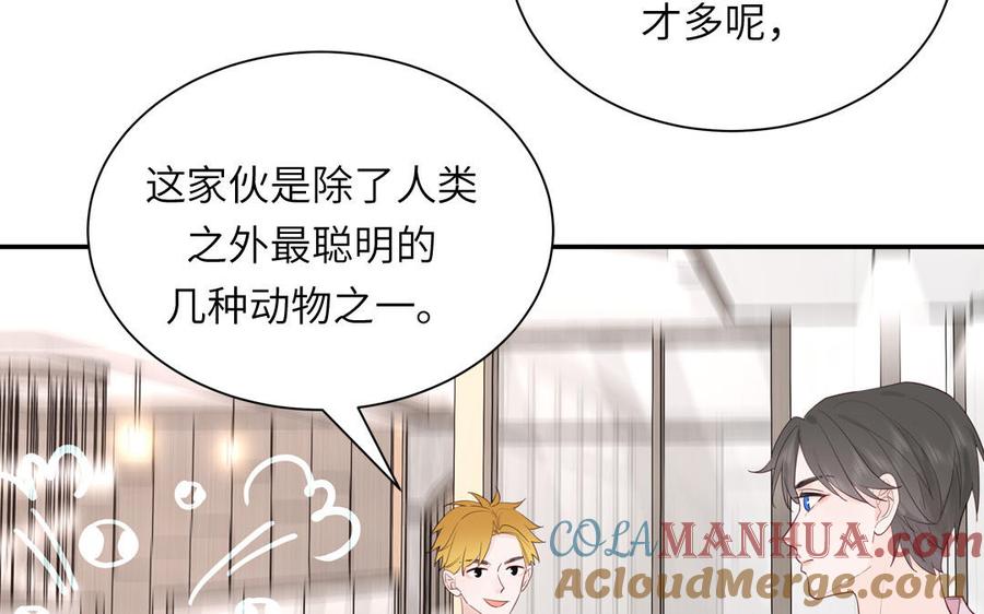 妖怪混圈指南 - 第110话 海中泰迪 - 第61张图