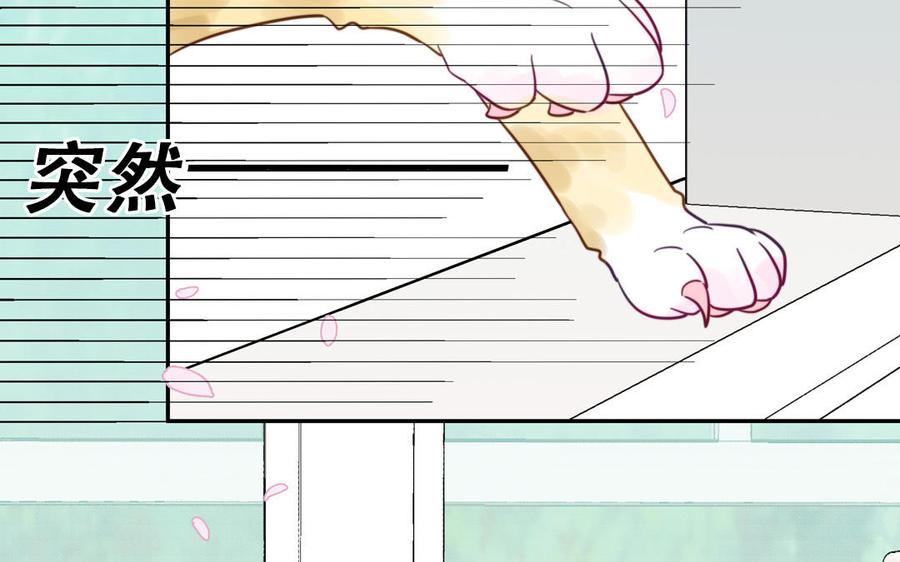 妖怪混圈指南 - 第120话 林涡被猫叼走了 - 第14张图