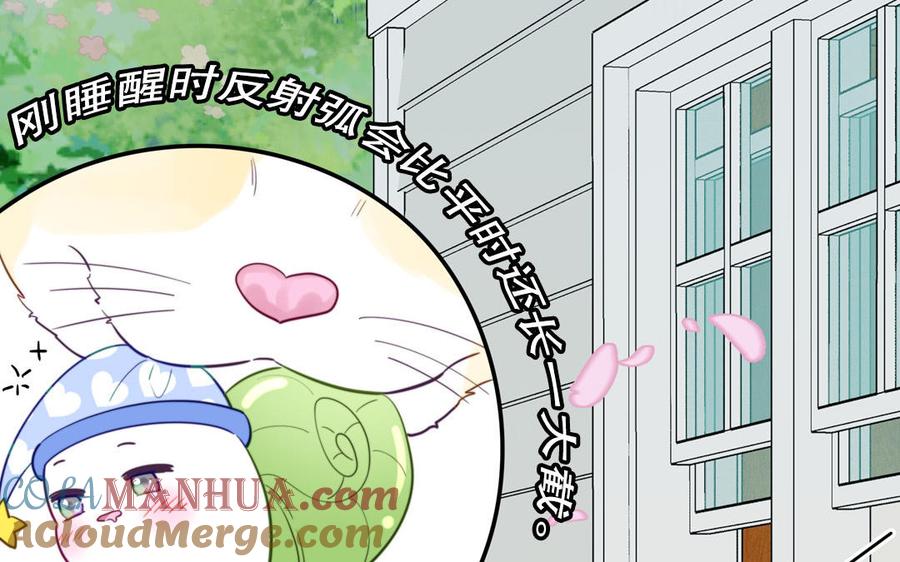 妖怪混圈指南 - 第120话 林涡被猫叼走了 - 第19张图