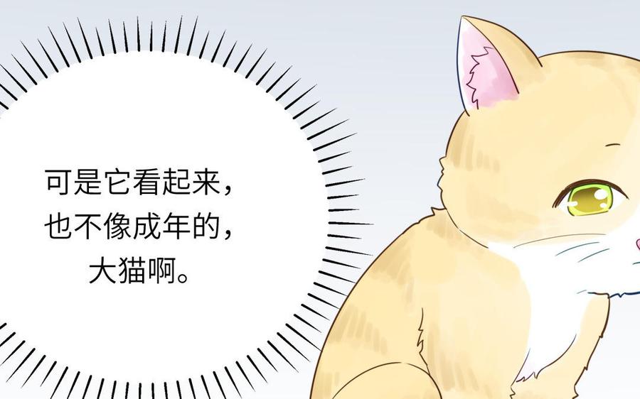 妖怪混圈指南 - 第120话 林涡被猫叼走了 - 第54张图