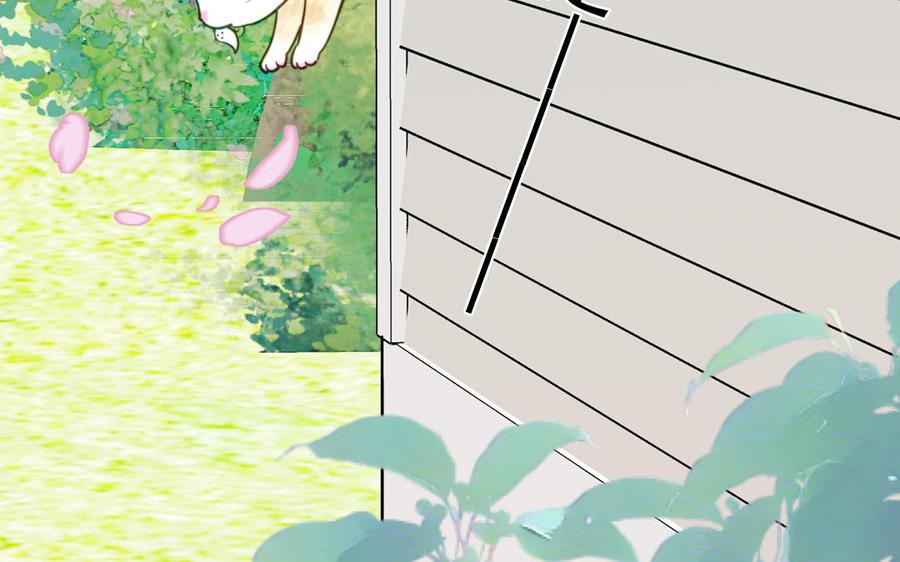 妖怪混圈指南 - 第120话 林涡被猫叼走了 - 第21张图