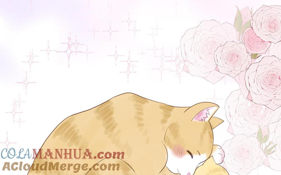 妖怪混圈指南 - 第122话 相依为命 - 第37张图