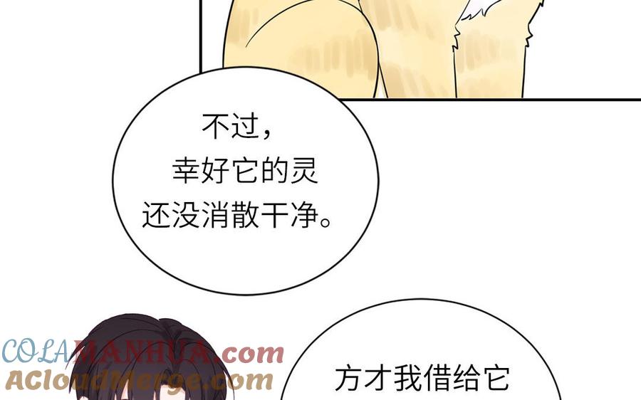 妖怪混圈指南 - 第123话 外科圣手 - 第97张图