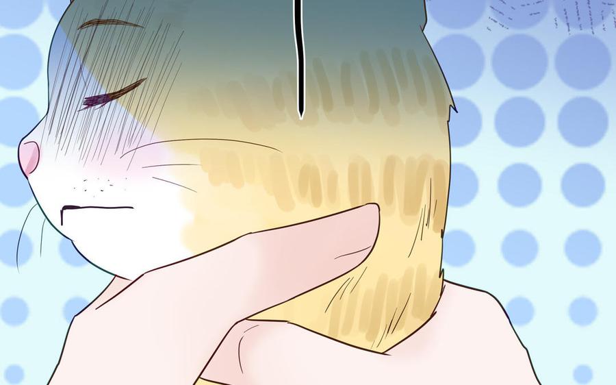 妖怪混圈指南 - 第123话 外科圣手 - 第56张图