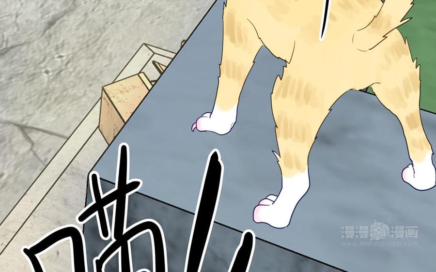 妖怪混圈指南 - 第123话 外科圣手 - 第35张图