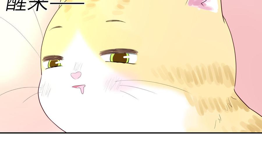 妖怪混圈指南 - 第123话 外科圣手 - 第63张图