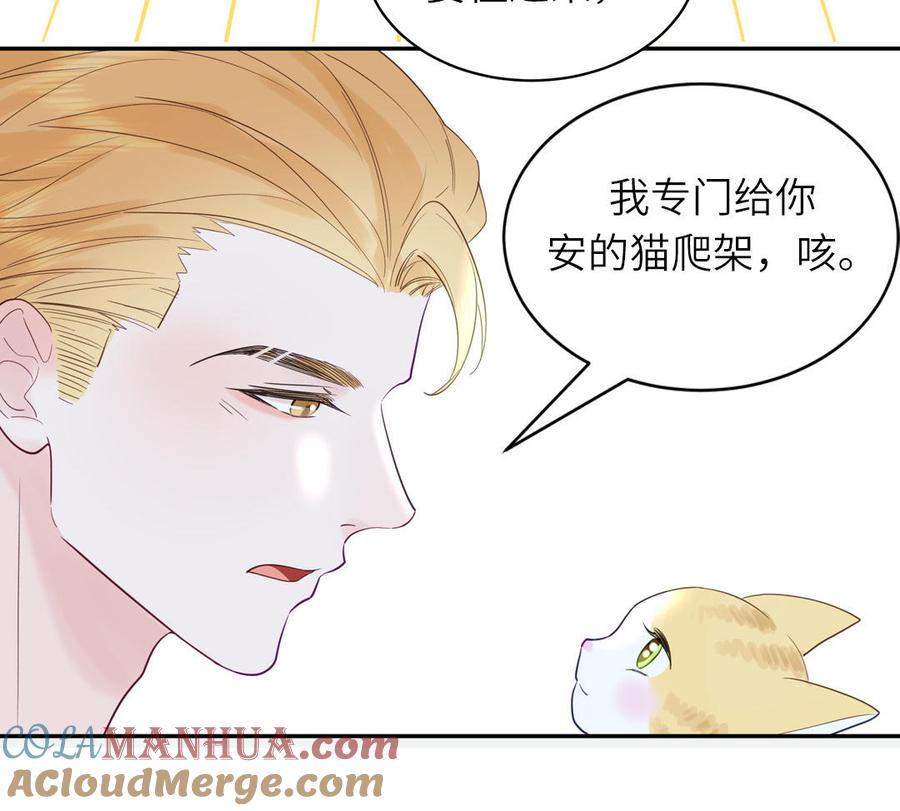 妖怪混圈指南 - 第124话 被虎妖收养了 - 第49张图