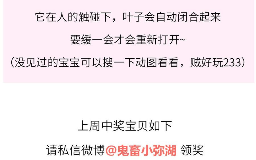 妖怪混圈指南 - 第20话 时夏的过去（一） - 第75张图