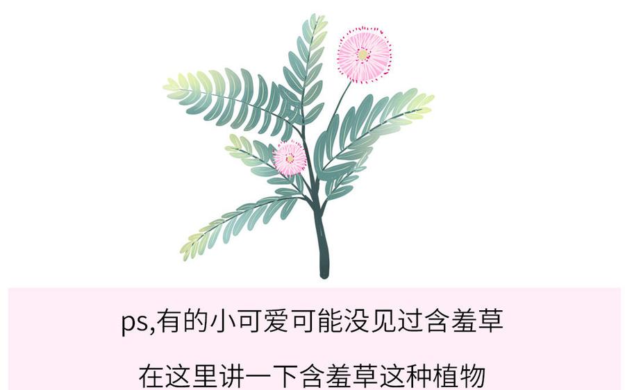 妖怪混圈指南 - 第20话 时夏的过去（一） - 第74张图