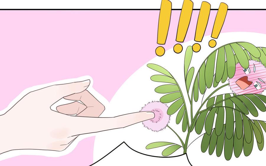 妖怪混圈指南 - 第30话 花不能碰 - 第33张图