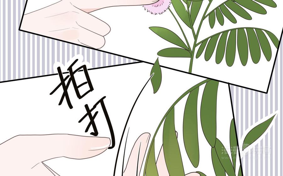 妖怪混圈指南 - 第30话 花不能碰 - 第35张图