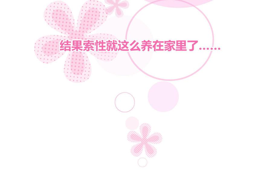 妖怪混圈指南 - 第59话 色盲穿搭 - 第14张图