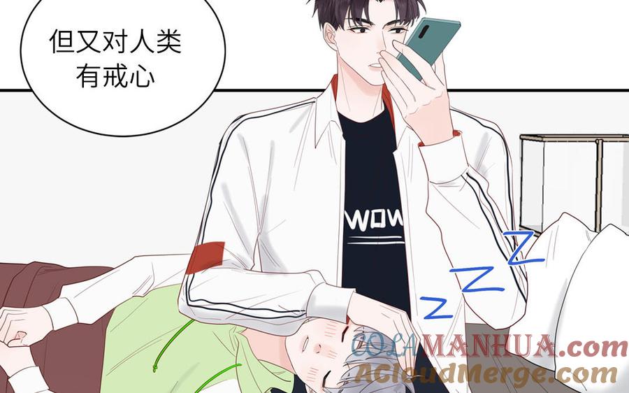 妖怪混圈指南 - 第70话 你别贴着我 - 第77张图