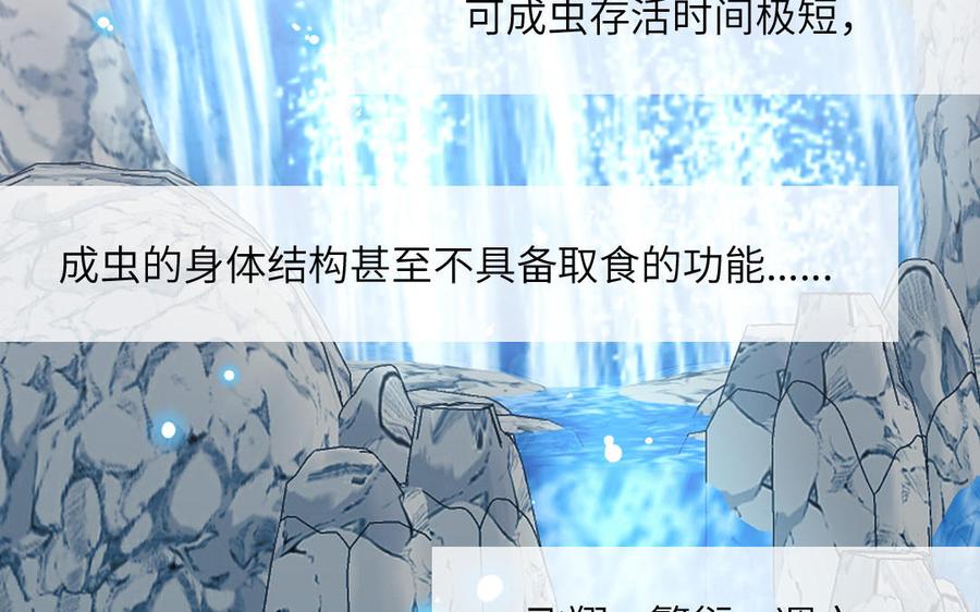 妖怪混圈指南 - 第78话 南海蝴蝶 - 第50张图