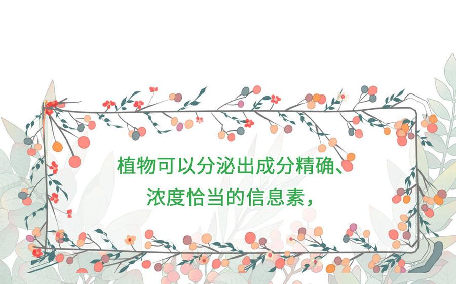 妖怪混圈指南 - 第87话 他的“新娘” - 第44张图