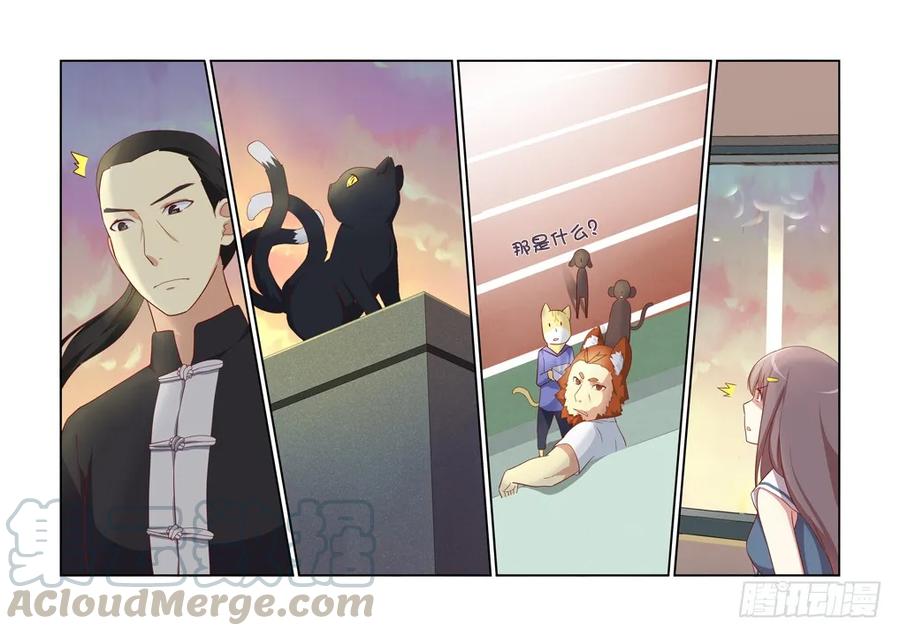 妖怪名单 24.透心凉！ 第11页