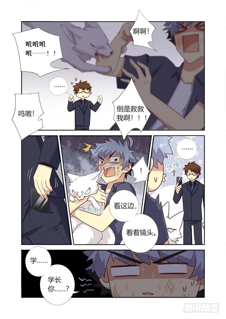 妖怪名单 371.醒了 第6页