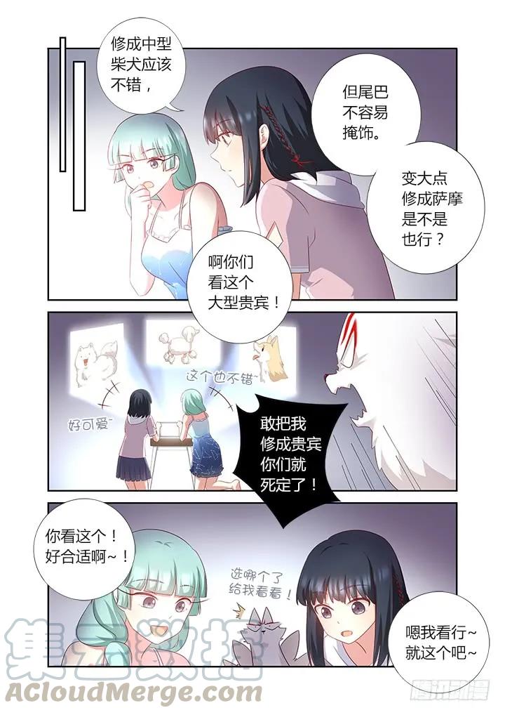 妖怪名单 377.洗剪吹 第5页