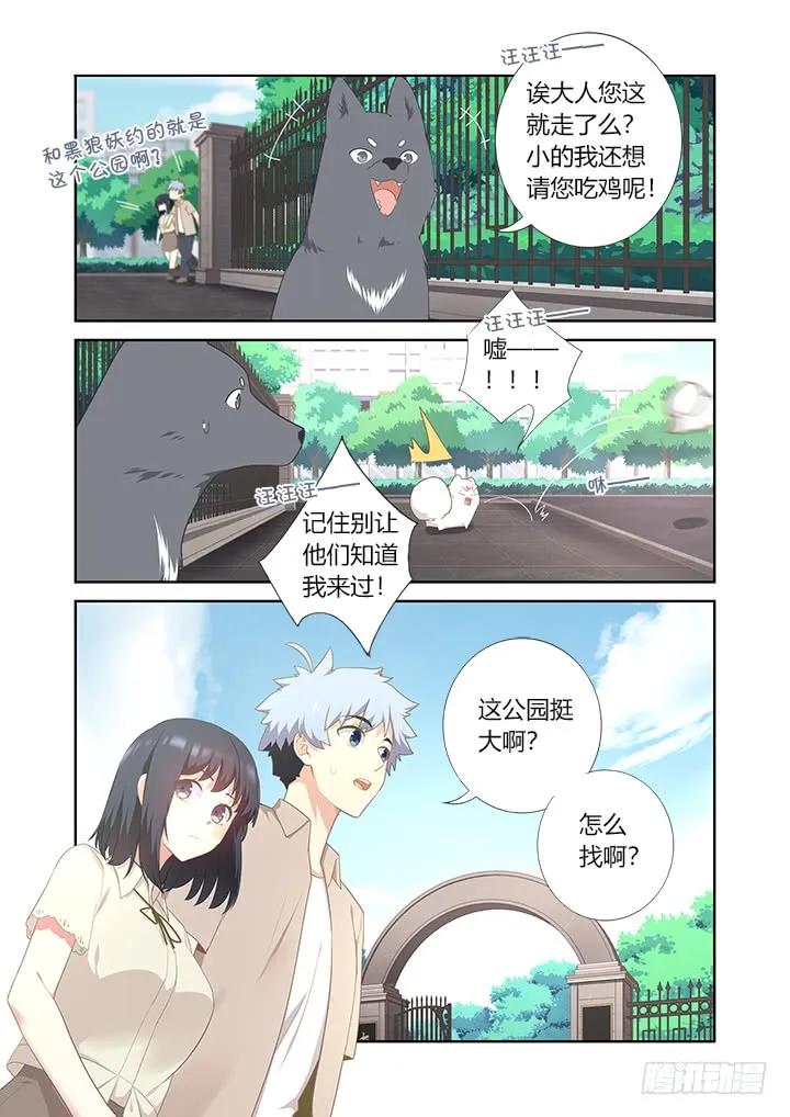妖怪名单 405.中华田园犬 第4页