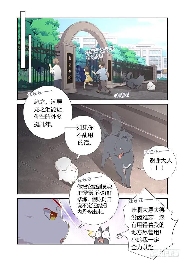妖怪名单 405.中华田园犬 第2页