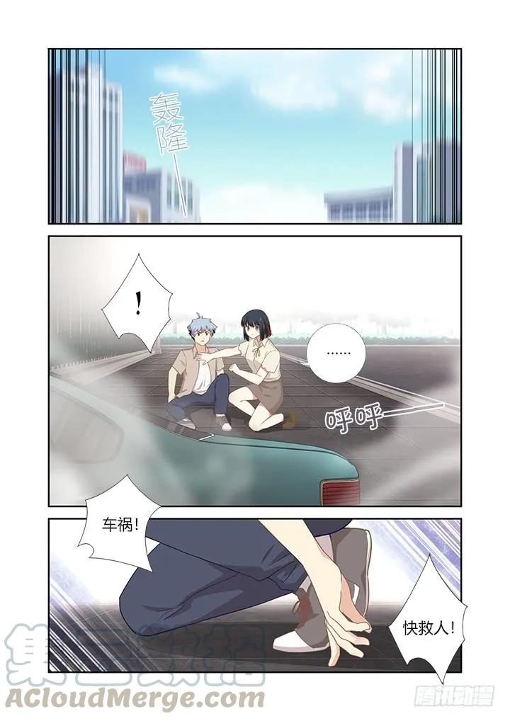妖怪名单 405.中华田园犬 第7页