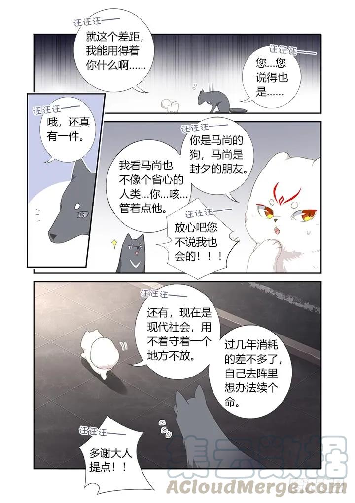 妖怪名单 405.中华田园犬 第3页