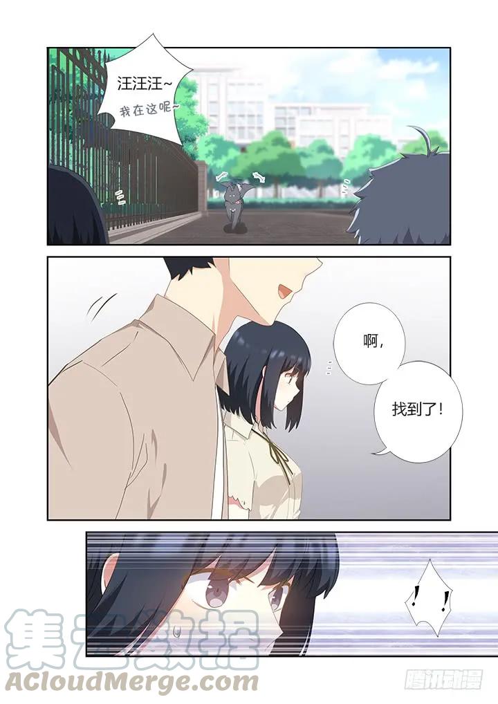 妖怪名单 405.中华田园犬 第5页