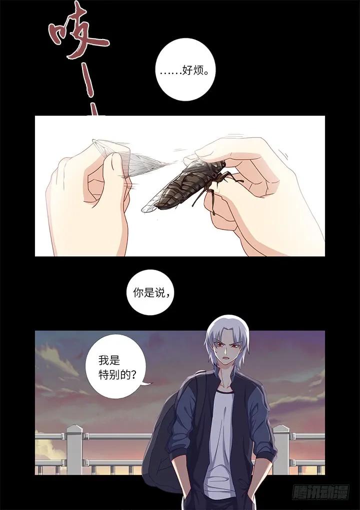 妖怪名单 441.曾经 第8页