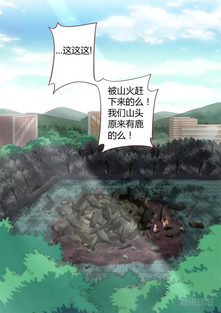 妖怪名单 71.雨过天晴 第10页