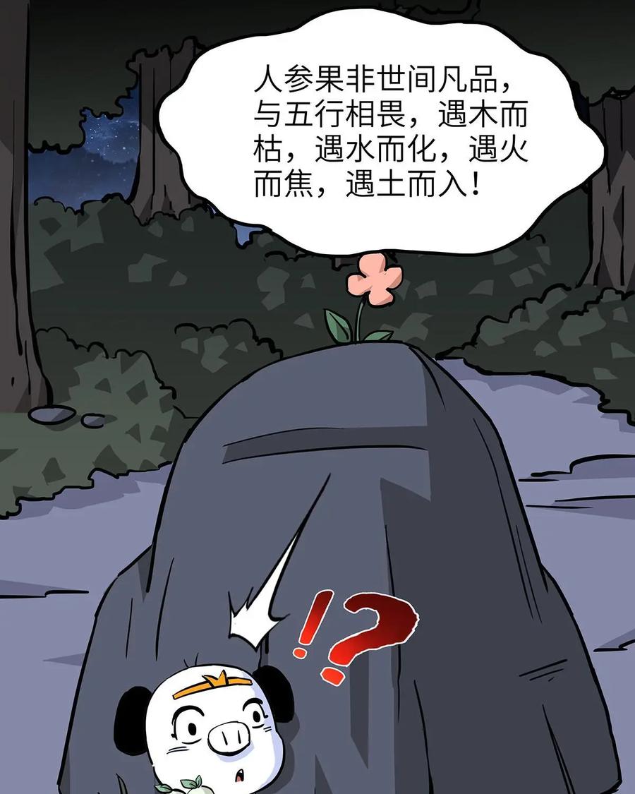 《熊猫西米路》第20话：五庄观04 第16页