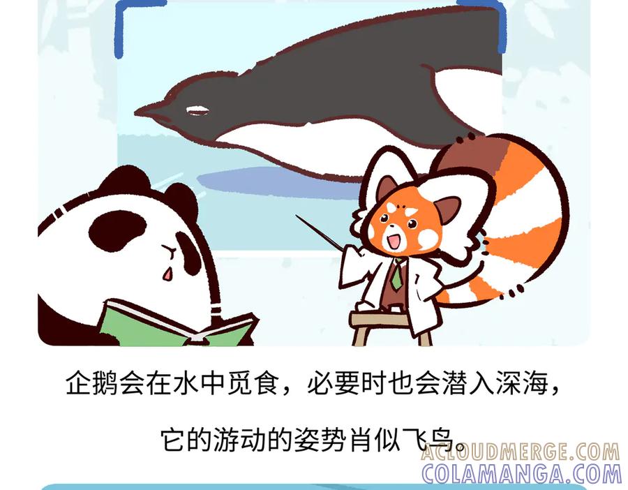 《胖达x胖达》第272话 第27页