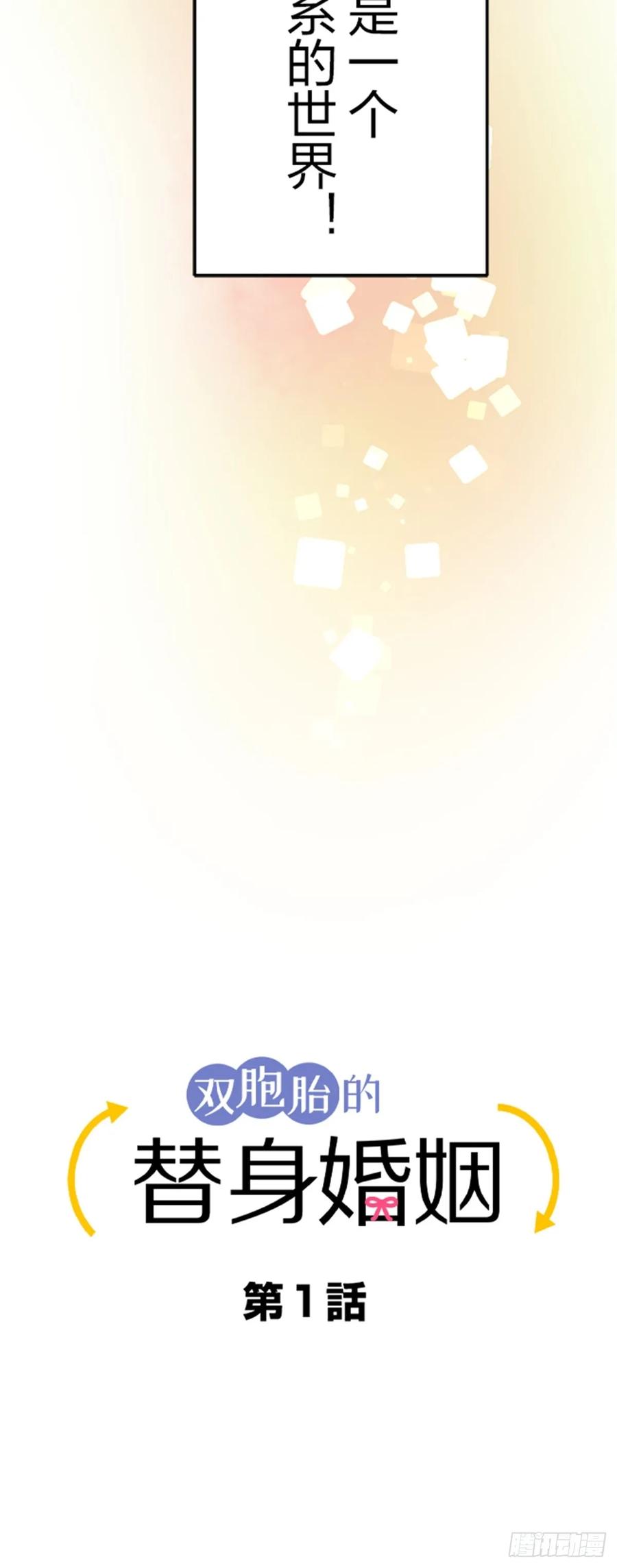 《双胞胎的替身婚姻》01 第17页