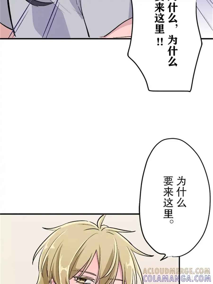《双胞胎的替身婚姻》11 第37页
