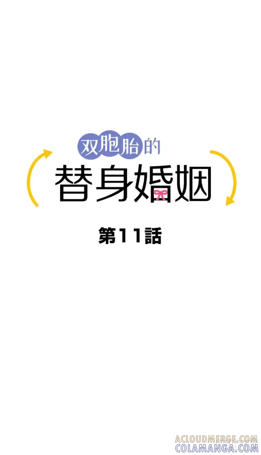 《双胞胎的替身婚姻》11 第28页